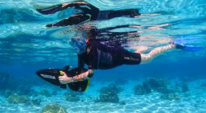 Moorea Lagoon Seascooter Snorkeling Guided Tour